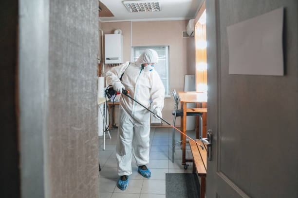 Trusted Concordia, MO Mold Inspection, Removal & Remediation Experts